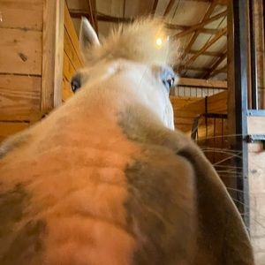 Meet your Posher, Christian